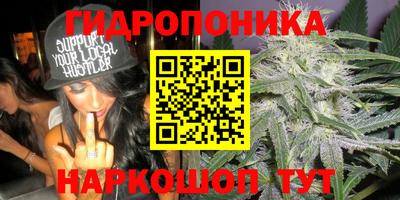 a pvp Краснокаменск