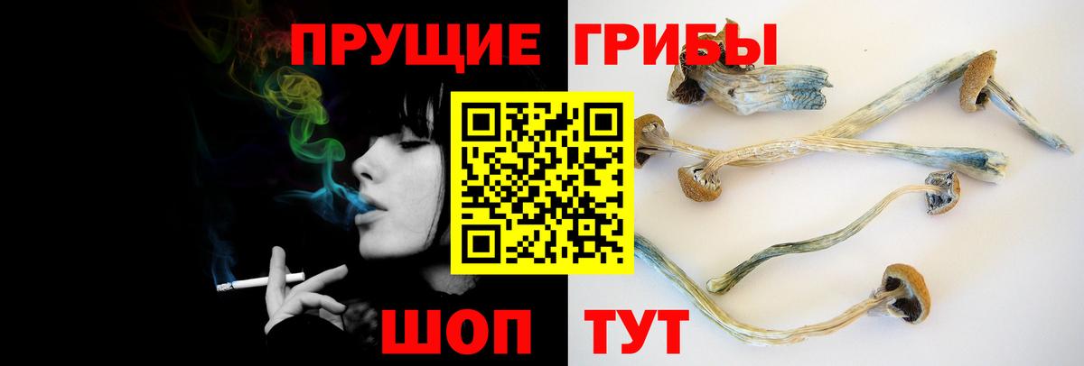 Псилоцибиновые грибы мухоморы Красногорск